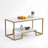 Alivio Modern Coffee Table with Metal Frame & Shelves Storage (White)