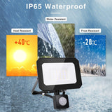 Alivio LED Floodlight with PIR Sensor, Cool White 30W Outdoor Security Light (5000-5500K)