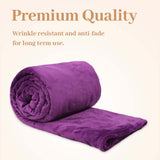 Alivio Small Faux Fur Mink Throw Luxury Super Soft Plain Bed Sofa Settee Throw Blanket - Aubergine