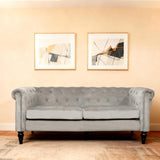 Alivio 2-Seater Tufted Button Sofa with Nailhead Trim (Grey)