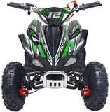 Alivio 49CC Kids Mini Petrol Off-Road Quad Adventure Bike (Green)