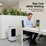 Alivio 4L Portable Air Cooler Humidifier with 3 Fan Speed Modes