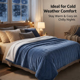 Alivio Premium Electric Heated Blanket with 7 Heat Levels & 9 Timer Modes (Navy Blue)