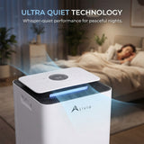 Alivio 10L Moisture Control Dehumidifier and Air Purifier for Home & Office